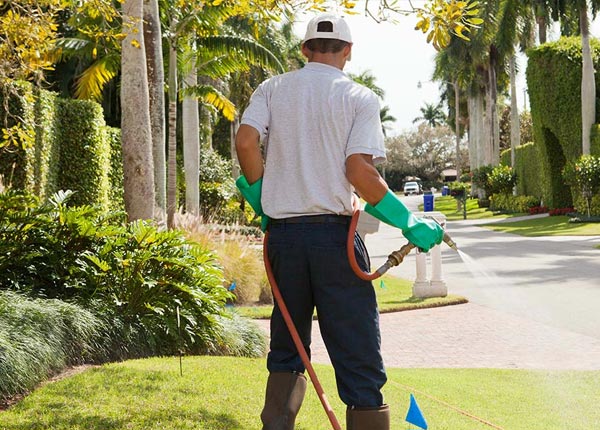 About Newman CA Pest Control